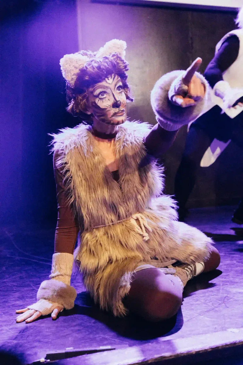 Other Cats production image 2